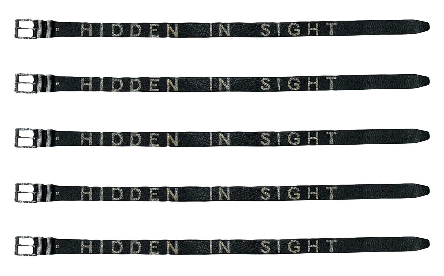 HIDDEN IN SIGHT BELT (BLACK)