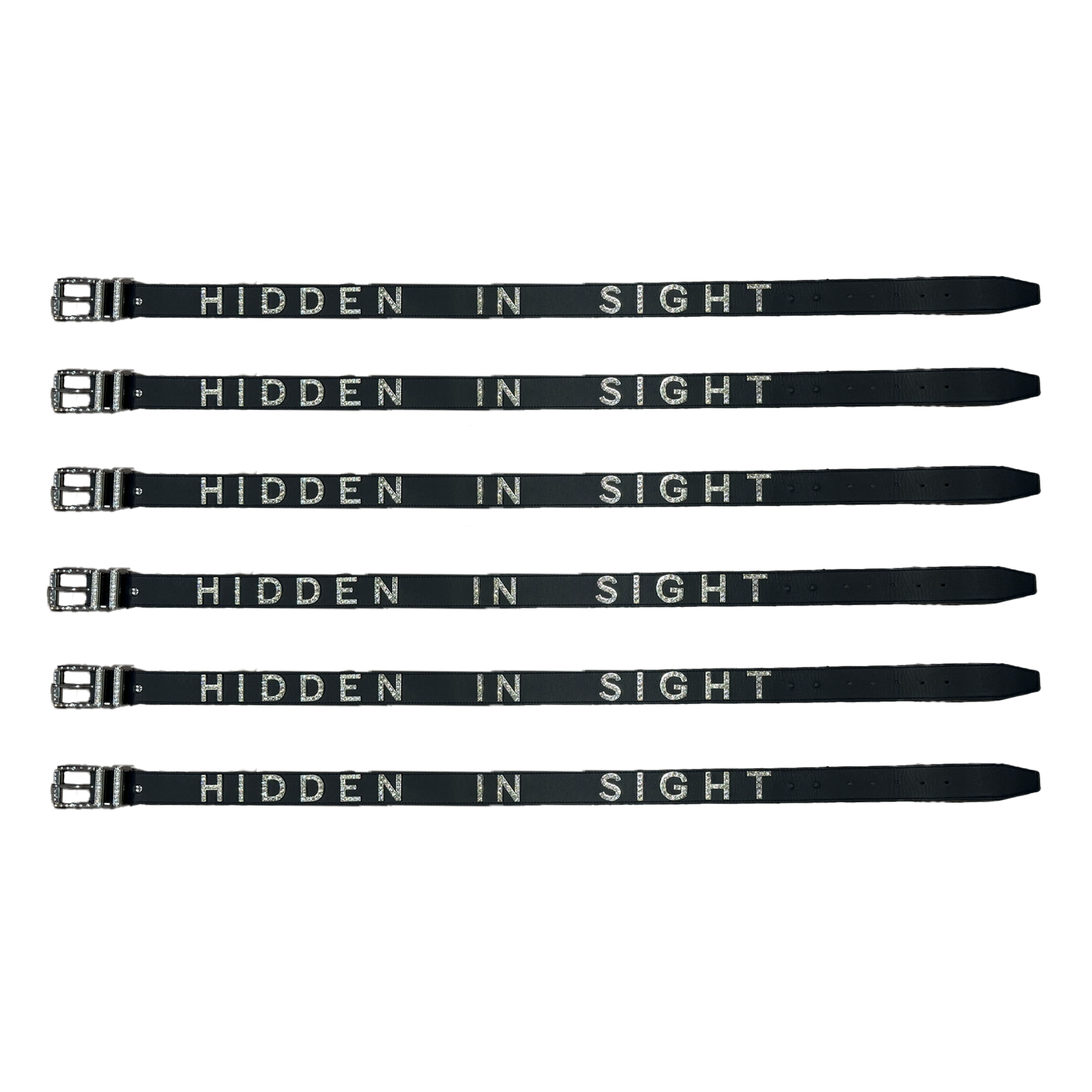 HIDDEN IN SIGHT BELT (BLACK)