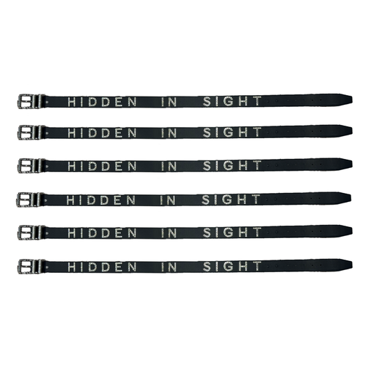 HIDDEN IN SIGHT BELT (BLACK)