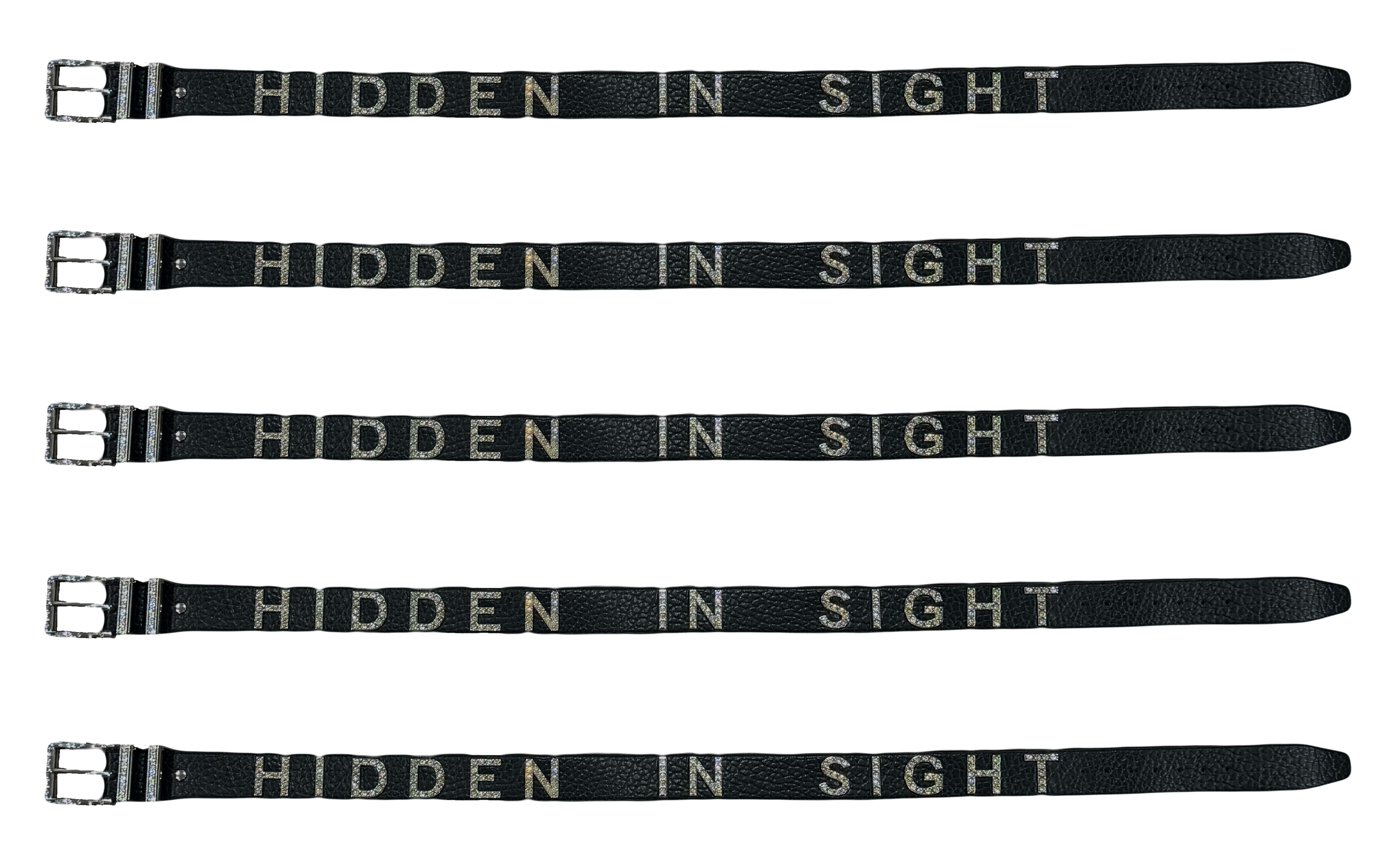 HIDDEN IN SIGHT BELT (BLACK)